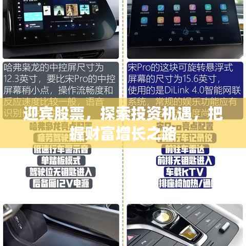 迎宾股票,探索投资机遇,把握财富增长之路