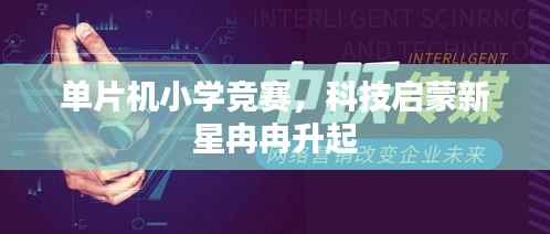 单片机小学竞赛,科技启蒙新星冉冉升起