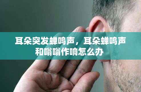 耳朵突发蝉鸣声,耳朵蝉鸣声和嗡嗡作响怎么办