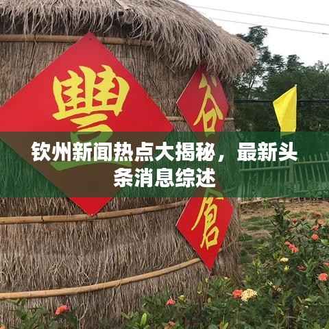 钦州新闻热点大揭秘，最新头条消息综述