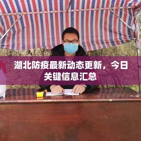湖北防疫最新动态更新,今日关键信息汇总
