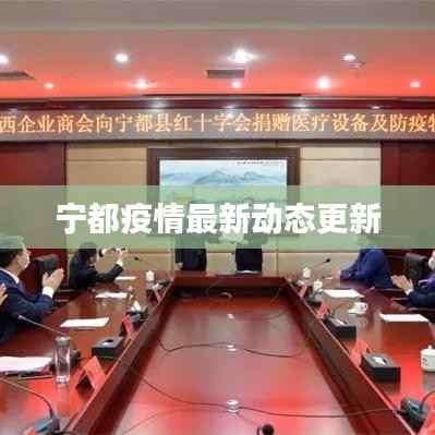 宁都疫情最新动态更新