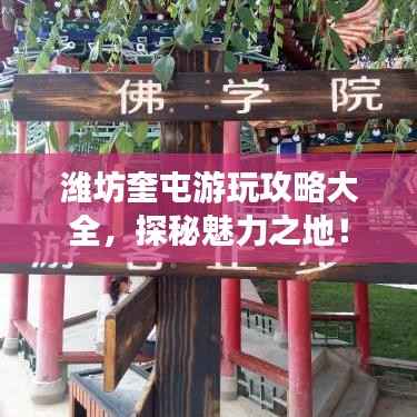 潍坊奎屯游玩攻略大全,探秘魅力之地!