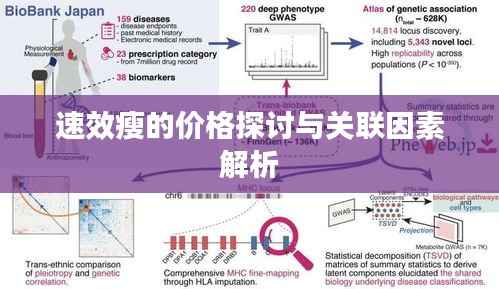 速效瘦的价格探讨与关联因素解析