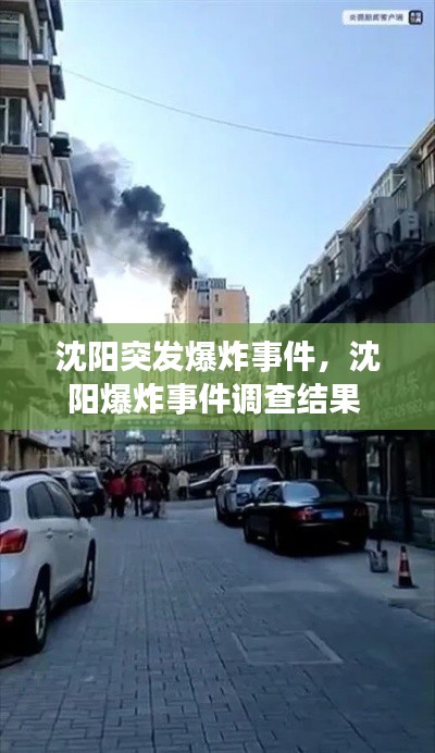 沈阳突发爆炸事件,沈阳爆炸事件调查结果