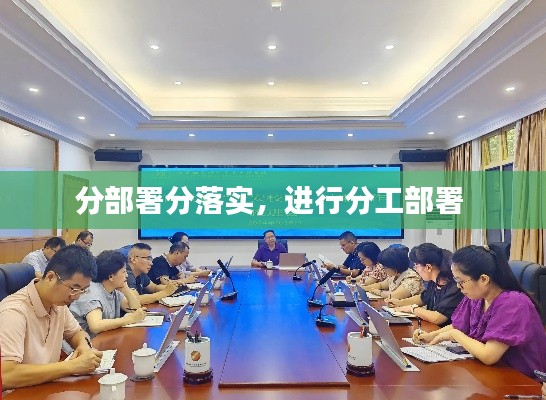 分部署分落实,进行分工部署