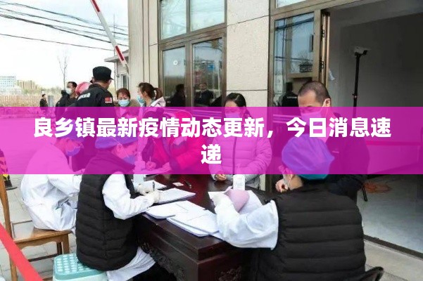 良乡镇最新疫情动态更新,今日消息速递