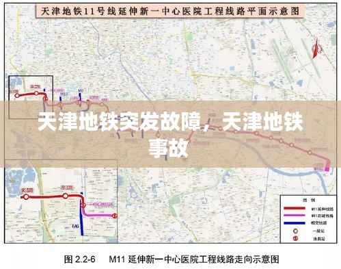 久别重逢 第2页