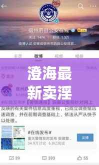 澄海最新卖淫新闻曝光,揭秘地下色情产业链内幕