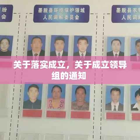 关于落实成立,关于成立领导组的通知