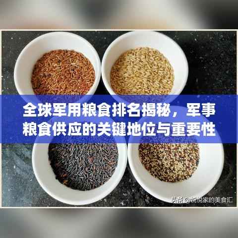 全球军用粮食排名揭秘，军事粮食供应的关键地位与重要性