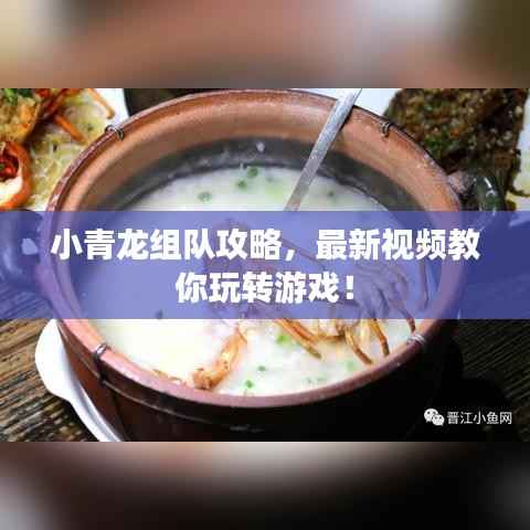 小青龙组队攻略,最新视频教你玩转游戏!