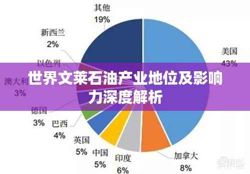 世界文莱石油产业地位及影响力深度解析