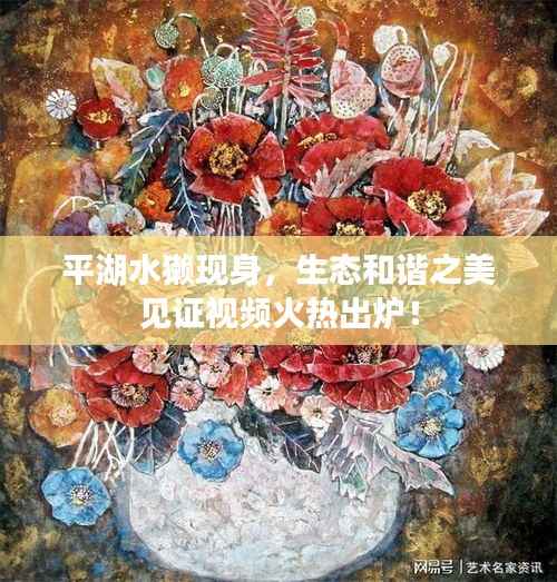 平湖水獭现身,生态和谐之美见证视频火热出炉!