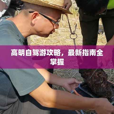 高明自驾游攻略，最新指南全掌握