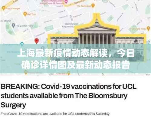 上海最新疫情动态解读，今日确诊详情图及最新动态报告