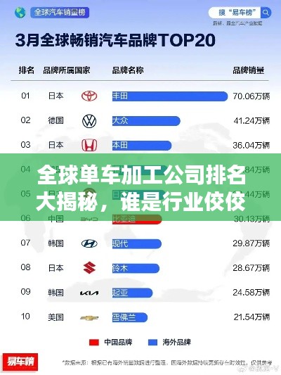 全球单车加工公司排名大揭秘,谁是行业佼佼者?